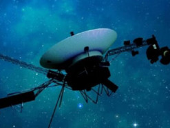 Українська ІТ-компанія SoftServe розроблятиме технології для будівництва на Місяці