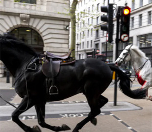 Поганий знак: лондонців налякали "коні Апокаліпсису" і Біг-Бен, що зупинився