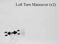 Рекордно легкий робот-водомірка пробіг по воді шість міліметрів за секунду