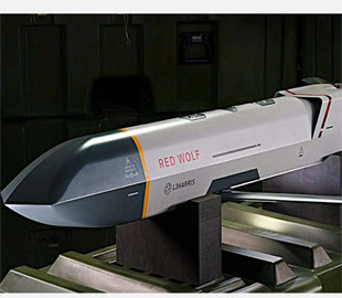 Розкриті технічні характеристики американських автономних бойових ракет Red Wolf