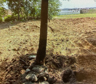 У Польщі заявили, що Білорусь знищила могили польських солдатів Другої світової війни