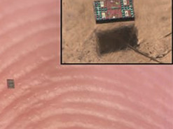 Вчені винайшли розумних роботів, розмір яких менше крупинки солі