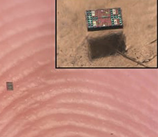 Вчені винайшли розумних роботів, розмір яких менше крупинки солі