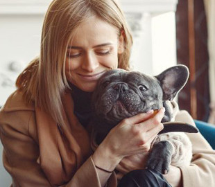 В Україні створили ШІ-сервіс для пошуку тварин: як працює PetRadar і кому він корисний