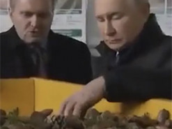 Двійника путіна випустили "подивитися шишки": фото та відео курйозу