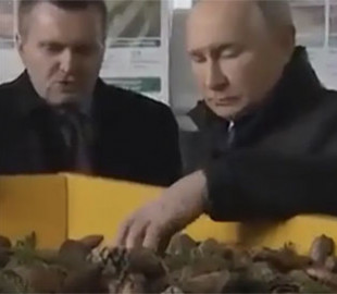 Двійника путіна випустили "подивитися шишки": фото та відео курйозу