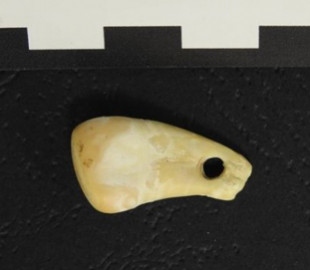 Модниця з палеоліту. Вчені завдяки ДНК встановили, кому належала підвіска з оленячого зуба