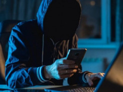 Купівля деревини в інтернеті обернулася для жінки втратою 12 тисяч гривень