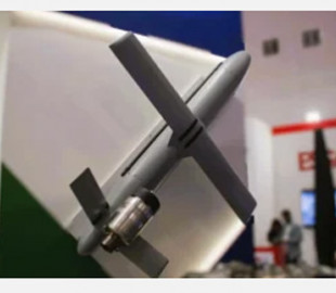 Розкриті технічні характеристики сербської крилатої ракети Goshawk