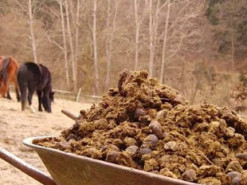 На фестивале в российской Карелии разыгрывается главный приз – телега навоза