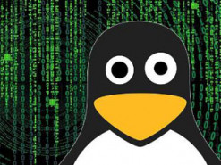 Активность вредоносов для Linux выросла на 35% в 2021 году