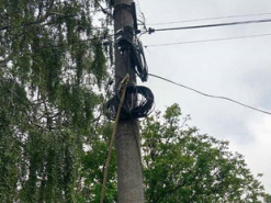Через вчинки вандалів люди на Тернопільщині змушені сидіти без інтернету