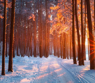 Що зірки нам пророкують: гороскоп на грудень 2022 року