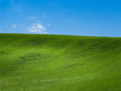 Названа страна, в которой Windows XP до сих пор самая популярная система