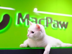 Суд визнав компанію MacPaw розпорядником ділянки на Київщині