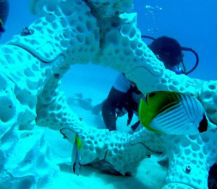 Учёным удалось напечатать на 3D-принтере «живой» коралловый риф