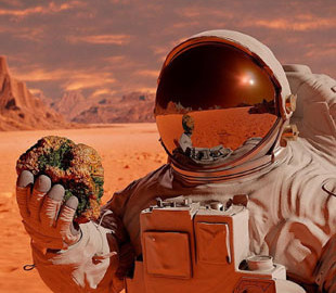 NASA отримало завдання прискорити доставку ґрунту з Марса, щоб випередити Китай