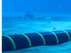 Європа, Азія та Африка без інтернету: пошкоджено кабелі, на які припадає 17% трафіку