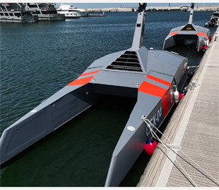 Розкриті технічні характеристики новітніх автономних морських дронів Needlefish