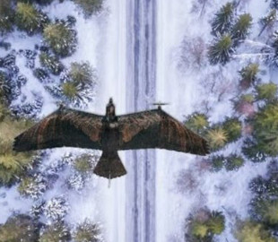 Унікальний дрон-хижак обдурить ворога: що особливого в БПЛА Evolution Eagle