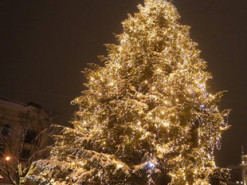 Онлайн и без елки: какими будут новогодние праздники в городах Украины