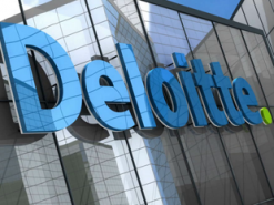 Deloitte: растет спрос на специалистов с гибридными навыками