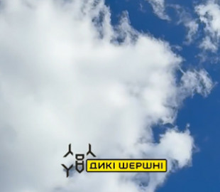 «Дикі шершні» створили дрон-перехоплювач, що сягає 11 км висоти