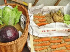 Як зберігати овочі та фрукти в домашніх умовах: кілька лайфхаків