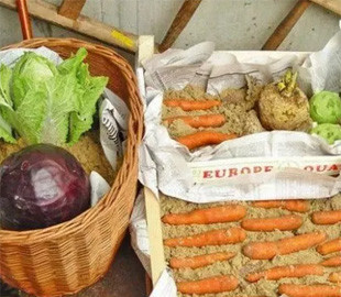 Як зберігати овочі та фрукти в домашніх умовах: кілька лайфхаків
