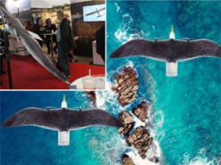 Розкриті технічні характеристики нідерландського дрона Seagull Evo