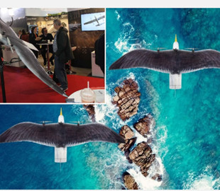 Розкриті технічні характеристики нідерландського дрона Seagull Evo