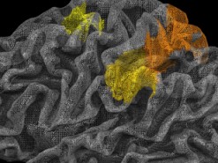 Приложение Study Train поможет студентам запомнить невозможное