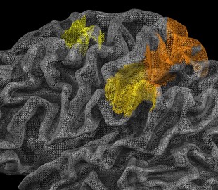 Приложение Study Train поможет студентам запомнить невозможное