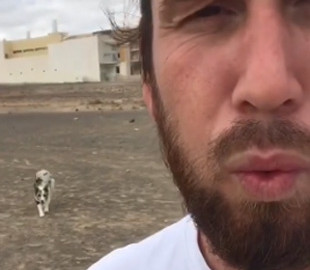 Мужчина сыграл с собакой в «Игру кальмара»: забавное видео