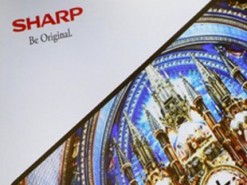 Sharp остается прибыльной больше года