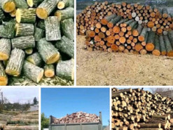 Продавав неіснуючі дрова: шахрай ошукав людей на 100 тисяч гривень