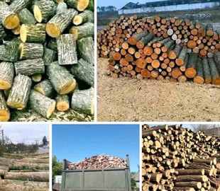 Продавав неіснуючі дрова: шахрай ошукав людей на 100 тисяч гривень