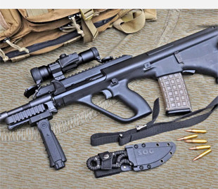 Розкриті технічні характеристики австрійського автоматичного карабіна Steyr AUG