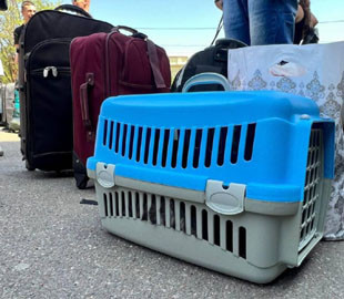 Миколаївцям пропонують безкоштовну евакуацію до Румунії