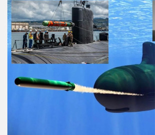 Розкриті технічні характеристики американської важкої торпеди Mk 48