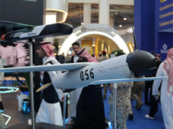 Розкриті технічні характеристики зенітного дрона-перехоплювача Hornet Block 1