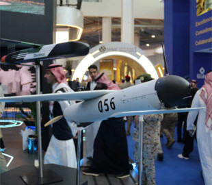 Розкриті технічні характеристики зенітного дрона-перехоплювача Hornet Block 1