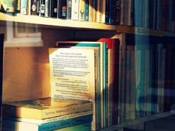 Разработчик собрал 25 самых рекомендуемых книг по программированию