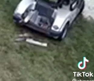 Неудачно покатался. В Канаде пес «за рулем» гольф-мобиля врезался в грузовичок хозяина
