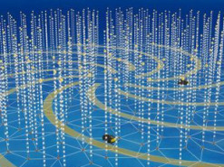 Китайці збудують найбільший підводний телескоп для вивчення нейтрино