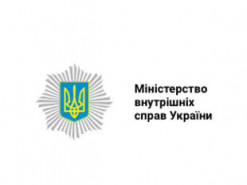 В МВД обсудили возможность внедрения системы электронного наблюдения