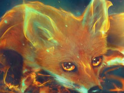 Новая функция в Firefox 76 будет защищать все сохраненные пароли