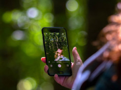 Мировой рынок смартфонов вернулся к росту