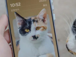 Які опції на смартфоні швидко розряджають батарею: про них часто забувають