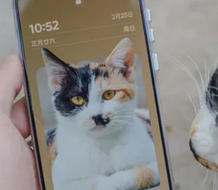 Які опції на смартфоні швидко розряджають батарею: про них часто забувають